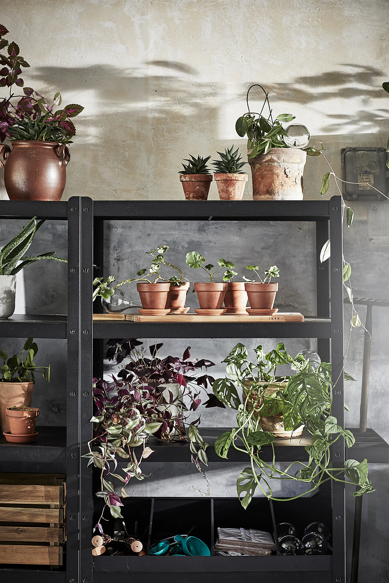 IKEA BROR Shelf Divider Black 33 1/2x21 5/8x7 1/8 " 6 IKEA BROR Shelf Divider Black 33 1/2x21 5/8x7 1/8 " - Image 4