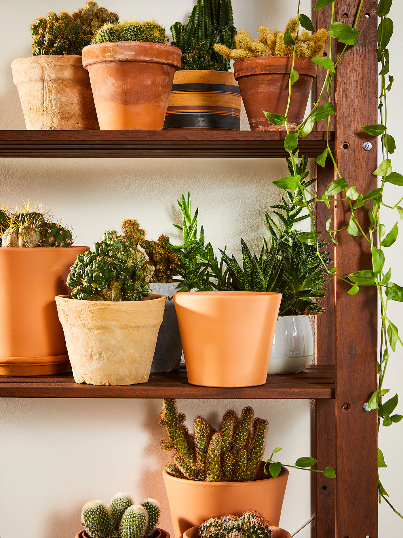 IKEA TORDH Shelving Unit, Outdoor Brown Stained 19 5/8x13 3/4x35 3/8 " 5 IKEA TORDH Shelving Unit, Outdoor Brown Stained 19 5/8x13 3/4x35 3/8 " - Image 3